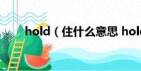 hold(住什么意思 hold 住的含義)