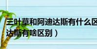 三葉草和阿迪達斯有什么區別(三葉草和阿迪達斯有啥區別)