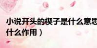小說開頭的楔子是什么意思(楔子在小說中起什么作用)
