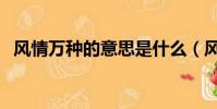 風情萬種的意思是什么(風情萬種的含義)