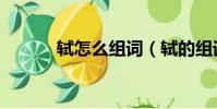 軾怎么組詞(軾的組詞有哪些)