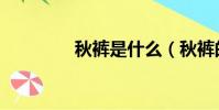 秋褲是什么(秋褲的介紹)