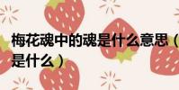 梅花魂中的魂是什么意思(梅花魂中的魂意思是什么)