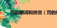 罰的組詞和拼音(罰的組詞有哪些)