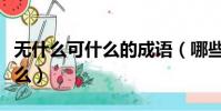 無什么可什么的成語(哪些成語是無什么可什么)