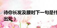 待你長發及腰時下一句是什么(待你長發及腰出處)