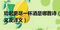 勸君更盡一杯酒是哪首詩(勸君更盡一杯酒原文及譯文)
