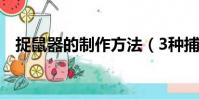 捉鼠器的制作方法(3種捕鼠器制作教程)