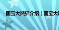 國寶大熊貓介紹(國寶大熊貓介紹內容)