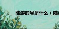 陸游的號是什么(陸游號什么)