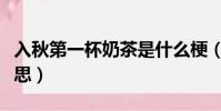 入秋第一杯奶茶是什么梗(入秋第一杯奶茶意思)