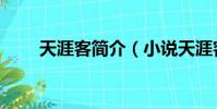 天涯客簡介(小說天涯客內容簡介)