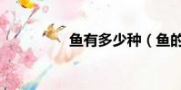 魚有多少種(魚的種類)