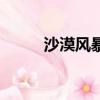 沙漠風暴是什么意思（詳情如下）