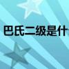 巴氏二級是什么意思（巴氏二級指的是什么）
