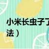 小米長蟲子了怎樣處理（小米長蟲子的解決方法）