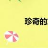 珍奇的意思（珍奇是什么意思）