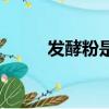 發酵粉是什么（發酵粉簡單介紹）