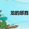龍的部首是什么（龍字有沒有部首）