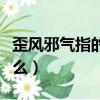 歪風邪氣指的是什么動物（歪風邪氣指的是什么）