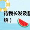 待我長發及腰原文全詩（待我長發及腰原詩介紹）