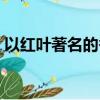 以紅葉著名的香山位于哪座城市（香山介紹）