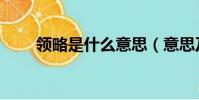 領略是什么意思(意思及例句介紹)