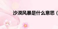 沙漠風暴是什么意思(詳情如下)
