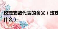 玫瑰支數代表的含義(玫瑰支數代表的寓意是什么)