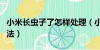小米長蟲子了怎樣處理(小米長蟲子的解決方法)