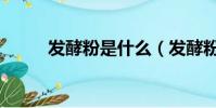 發酵粉是什么(發酵粉簡單介紹)