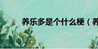 養樂多是個什么梗(養樂多解釋)