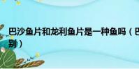 巴沙魚片和龍利魚片是一種魚嗎(巴沙魚片和龍利魚片的區別)