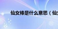 仙女棒是什么意思(仙女棒的意思)