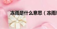 凍雨是什么意思(凍雨意思是什么)