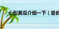 心形黃瓜介紹一下(是自然形成的嗎)