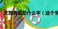 大加兩筆是什么字(這個字的意思及組詞)