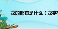 龍的部首是什么(龍字有沒有部首)