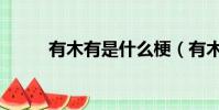 有木有是什么梗(有木有的含義)