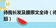 待我長發及腰原文全詩(待我長發及腰原詩介紹)