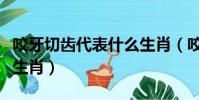 咬牙切齒代表什么生肖(咬牙切齒指的是什么生肖)
