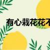 有心栽花花不發下一句（這句話出自哪里）