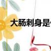 大腸刺身是什么意思（大腸刺身的意思）