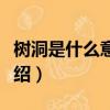 樹洞是什么意思網絡用語（網絡語樹洞含義介紹）