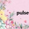 pulse什么意思（pulse解釋）