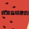 寂寞在唱歌的歌詞（寂寞在唱歌的歌詞原文）