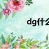 dg什么牌子（dg是什么牌子）