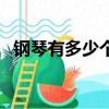 鋼琴有多少個琴鍵（鋼琴的琴鍵有多少個）