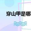 穿山甲是哪種動物（關于穿山甲的簡介）