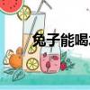 兔子能喝水嗎（兔子是否可以喝水）